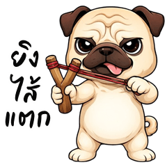 แก๊งค์มะหมา 2569 (บิ๊กสติกเกอร์)