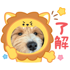 Nakagawa_20260118120224