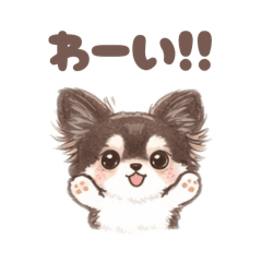 chaco_20260118122505