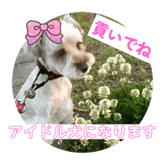 rucogrm_20260118121926