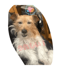 otohime_20260118122057