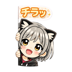 aohana51_20260118122417