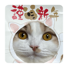 mirin_20260117224351