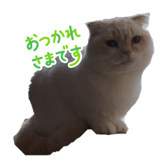 HiNati_20260118123244