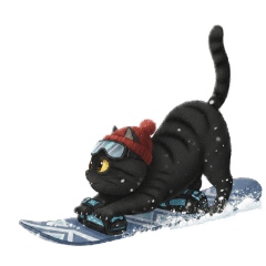 TOMY M_20260118123007