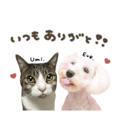 イヴちゃん♡海くんmix