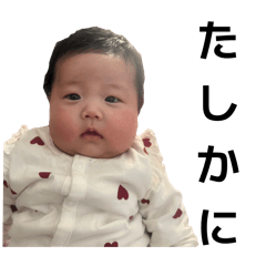 momo_20260118124933