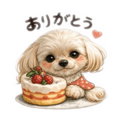 CHIKA_20260118011542