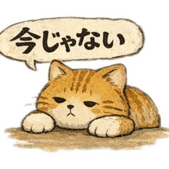 Takataka_20260118140558