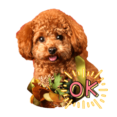 YAKINIKU_20260118135921