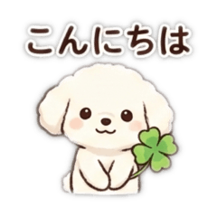 Sachi_20260117205643