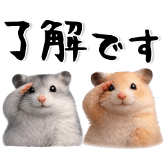 ハムスター❤️日常スタンプ