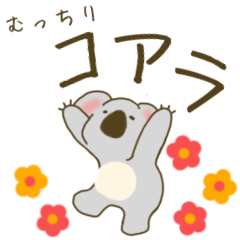 むっちりコアラ【気持ちを伝える】