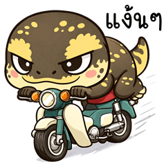 Cheeky Monitor (THAI)