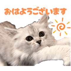 AKANE_20260118160107