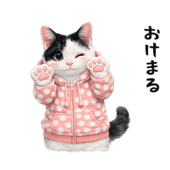 ASUKA_20260118160608