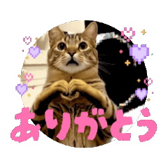 お酒とネコ好きな日常会話83