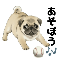 cats and dogs_20260118211402