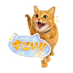 miisuke_20260118014302