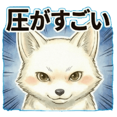 Ui: The Expressive Giant Fox