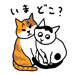 watagashi cats