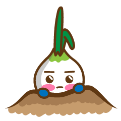 Days of Onion