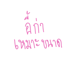 Satang_20260118145754