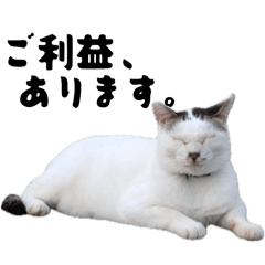 Yushima Nekobu  Cat Stickers