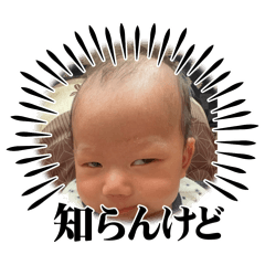 rei_2026011820