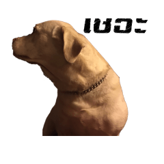 La aor good dogg