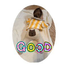 Koara_20260116165755