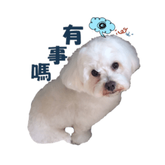 Geely emoticons