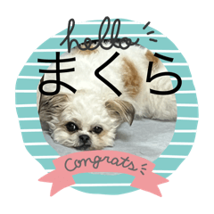 makura_20260118204250