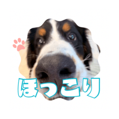 yuki.n_20260118204416