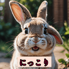 ゆるふわウサギの日常きもちスタンプ