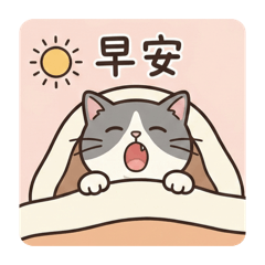 英短毛的日常語