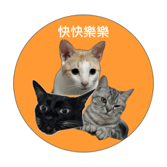 四維路貓貓