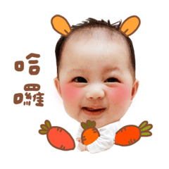－楊博喬－