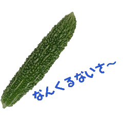 Kana_20260116215844