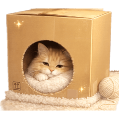 hiromi.8686_20260116232215