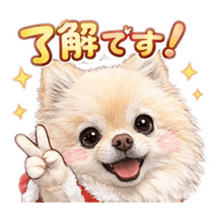 soramaru_20260118150637