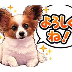 komugi_20260118151354