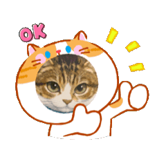 soragocochi_20260117075222