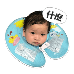 baby baobao