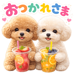 とびだす★トイプーの日常♪