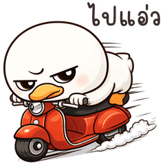 Roundy Duck (Kum-muang)