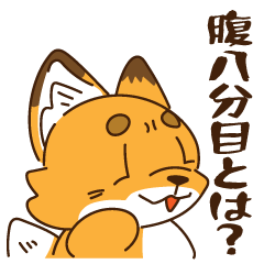 A chubby fox with a big appetite