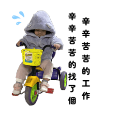 葡萄柚的開掛人森森