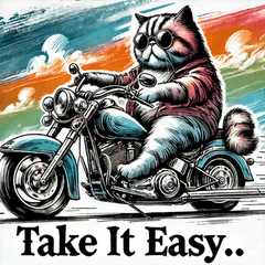 Invincible Nyan Rider