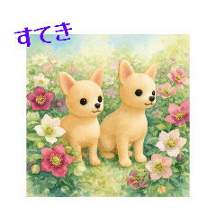 Rarami_20260118163653